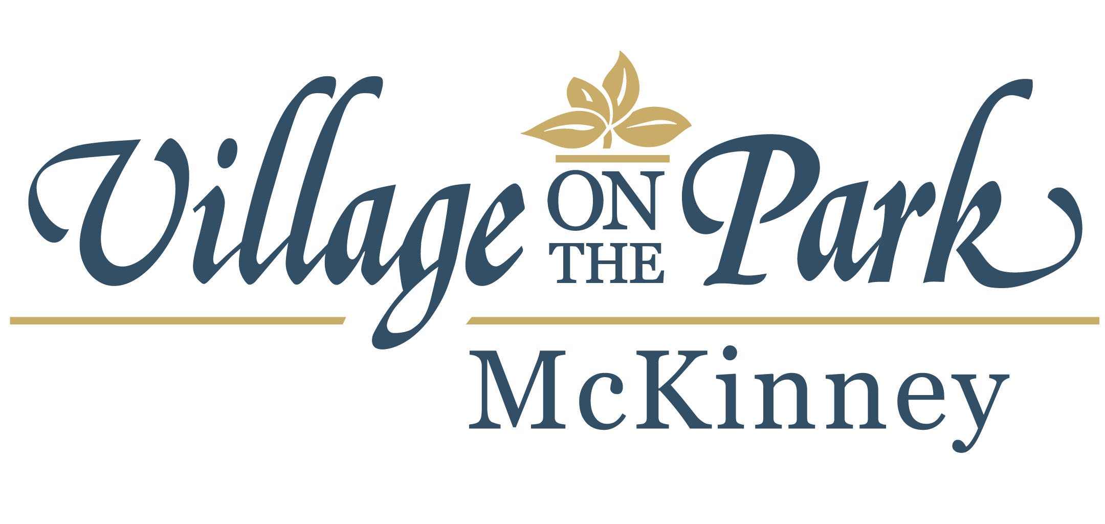 Village on the Park McKinney